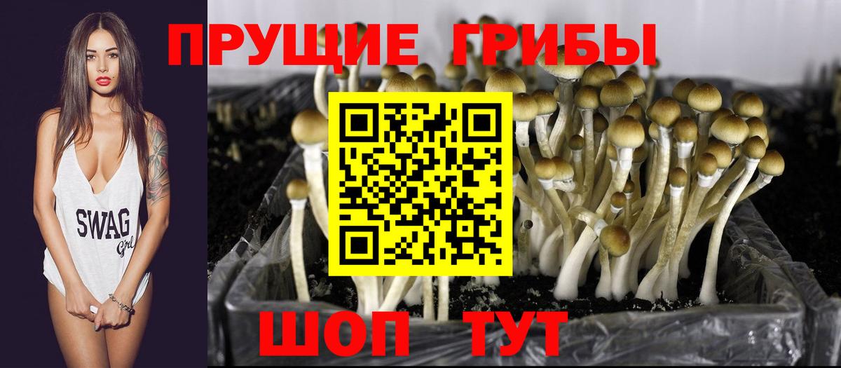 Менделеевск  Галлюциногенные грибы MAGIC MUSHROOMS  Вход с VPN 